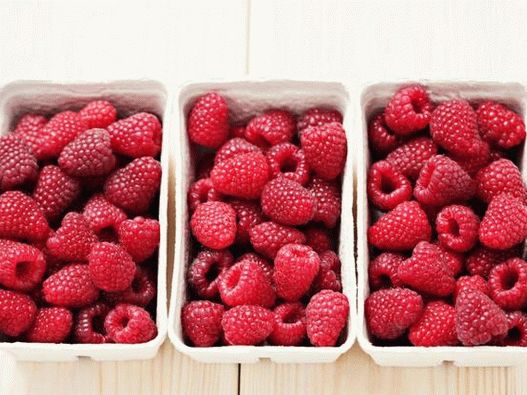 Raspberry revitalizes all kinds of yoghurts, cheesecakes, truffles and any creamy dessert