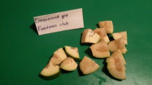 Feijoa Watermelon Smoothie