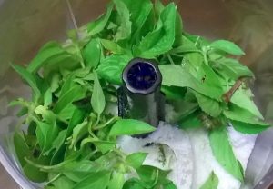 Basil salt