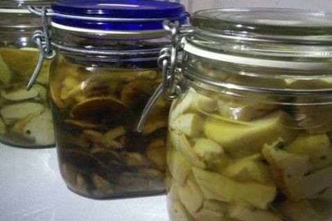 White pickled mushrooms