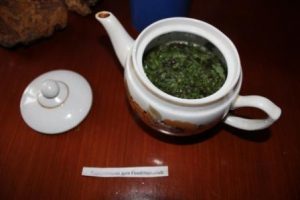 Chaga Tea