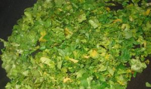 Chebureks with herbs