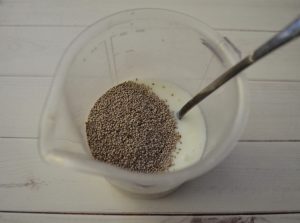 Chia Strawberry Pudding