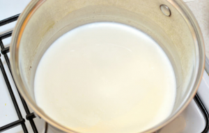 Dahi in the yogurt maker