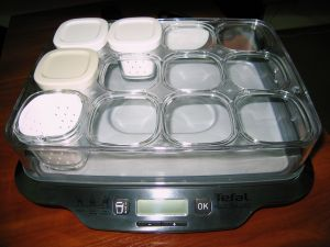 Dahi in the yogurt maker