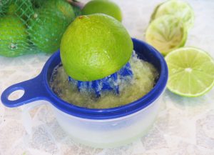 Melon Smoothie