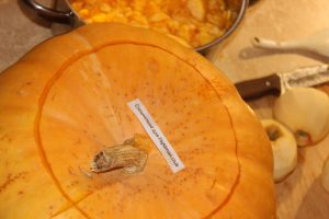 Pumpkin and Apple Jam