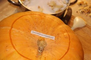 Pumpkin and Apple Jam