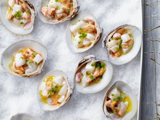 Photo of the dish - Scallop and mollusk crudo in shells