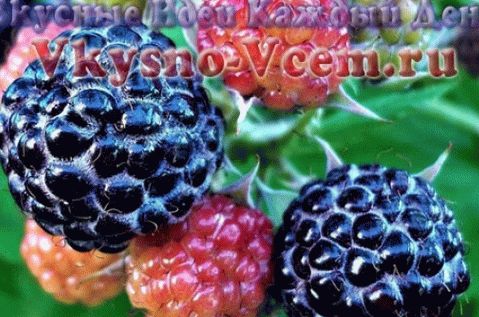 Blackberry in its own juice