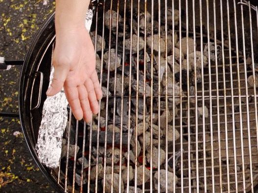 Prepare the grill for direct and indirect heating