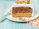 Coffee Ice Cream Cake