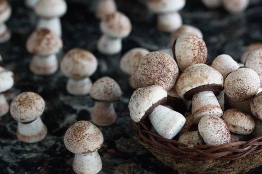 Photo Meringue Mushrooms