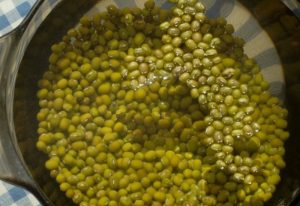Kharcho with Mash Bean