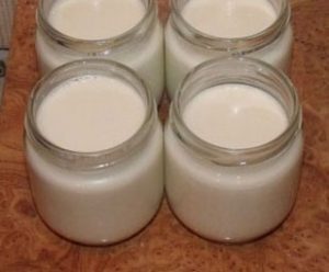Yogurt in a yogurt maker