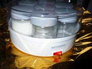 Yogurt in a yogurt maker