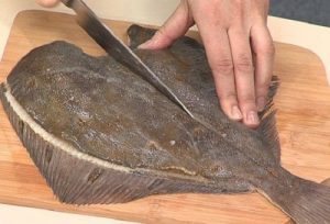 Imperial Flounder
