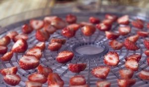 Strawberry chips