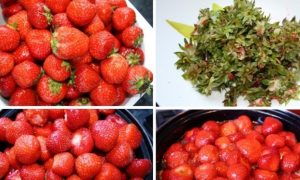 Strawberry jam for the winter