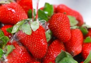 Strawberry Fresh