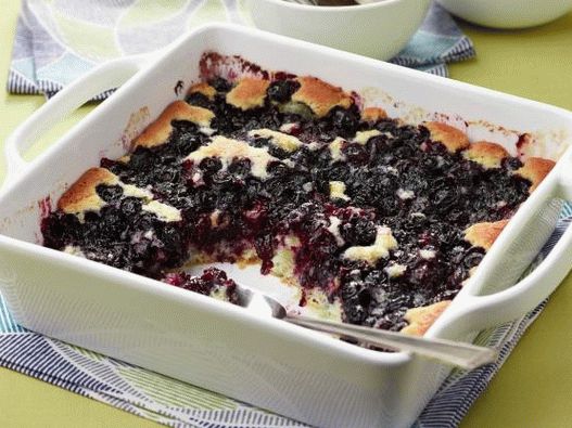 Photo Kobler with blueberries
