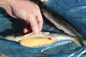 Smelt in the oven