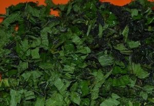 Nettle soup with egg