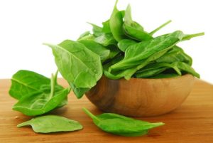 Spinach Cream Soup