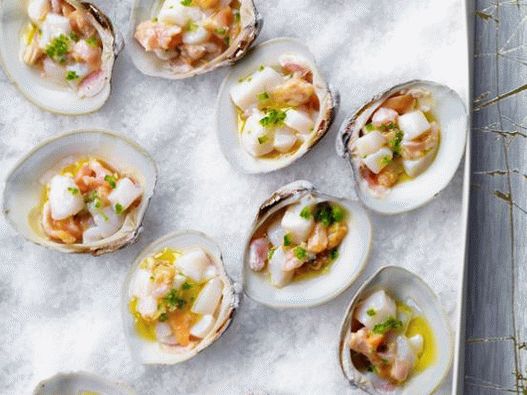 Photo Scallop and mollusk crudo in shells