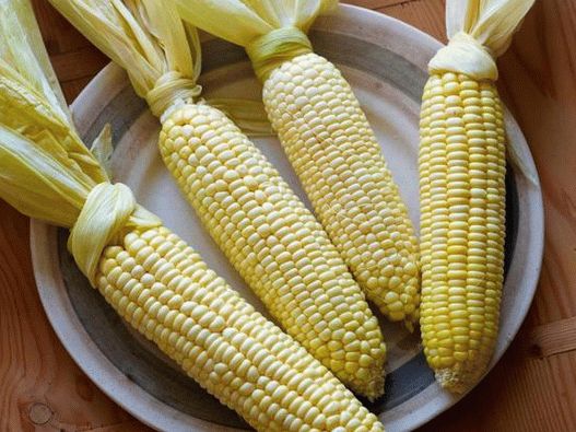 Photo of corn on the cob in the oven