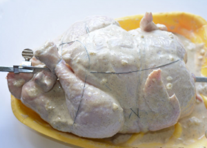 Oven grilled chicken