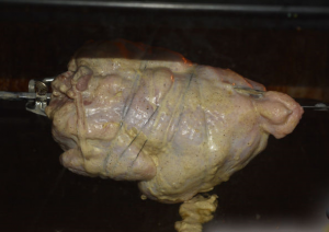 Oven grilled chicken