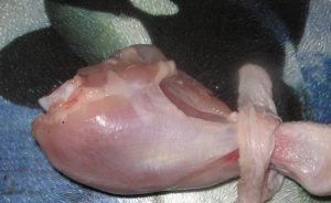 Chicken legs in the sleeve