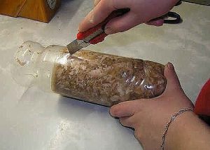 Chicken roll in a bottle