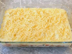 Vegetarian Lasagna