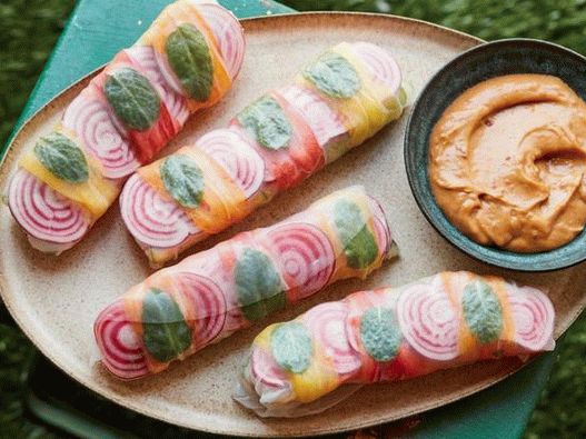 Dish Photography - Spring Rolls with Chicken and Peanut Dip