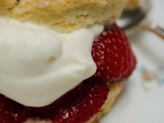 Photo dishes - Cakes