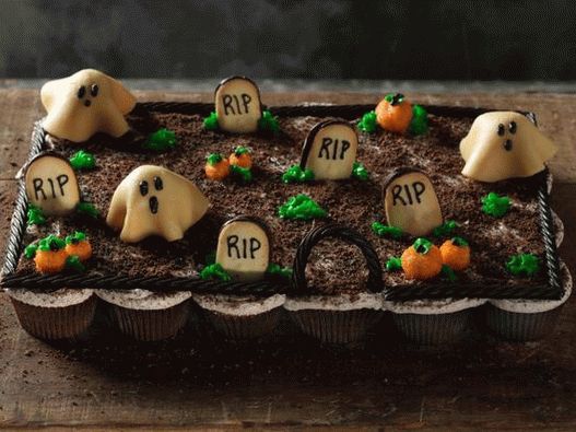 Photography dishes - Cake