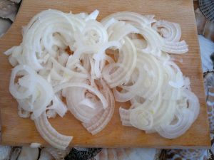 Onion soup