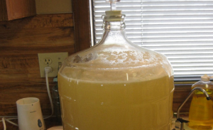 Honey and Apple Wine