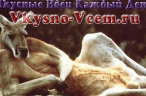 Kangaroo meat cooking news