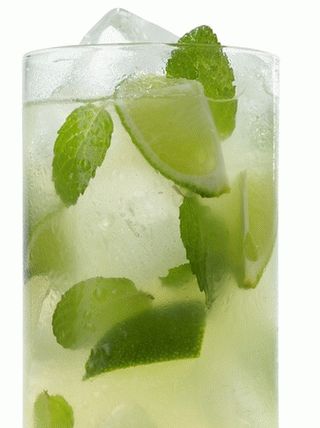 Photo Mint Limead