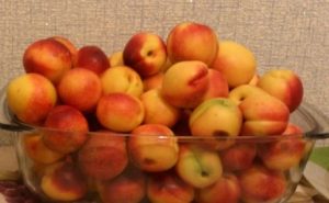 Nectarine drink