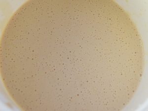 Soybean Fritters