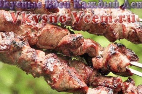 Original kebab recipe