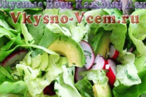 Avocado Salad