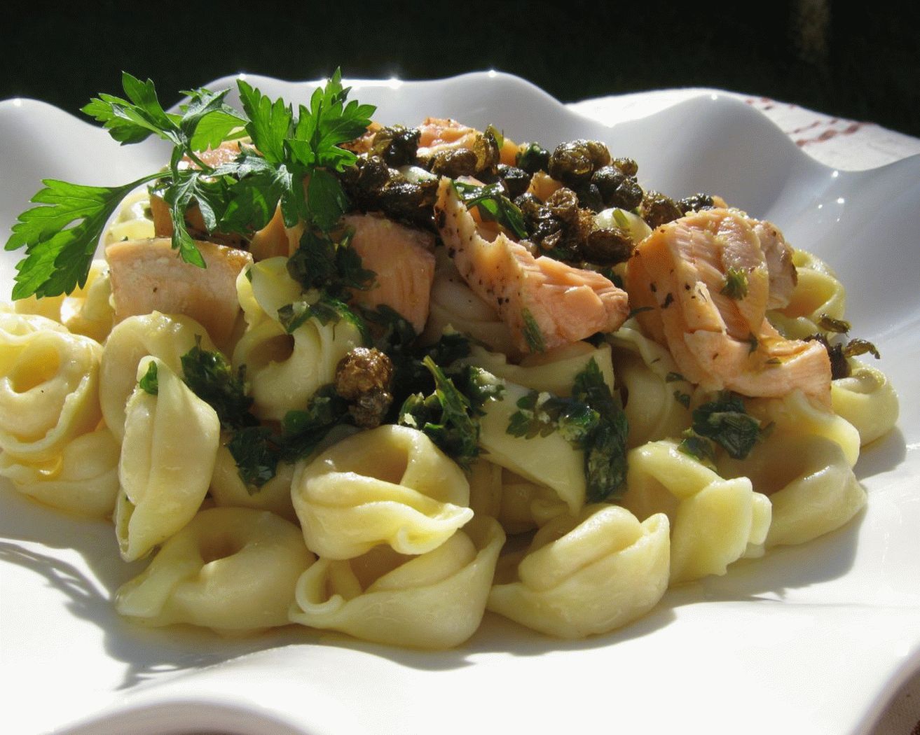 Salmon Pasta