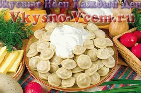 homemade dumplings