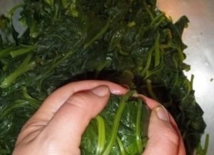 Spinach Phali