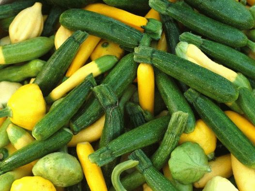 Photo - Zucchini and pumpkin